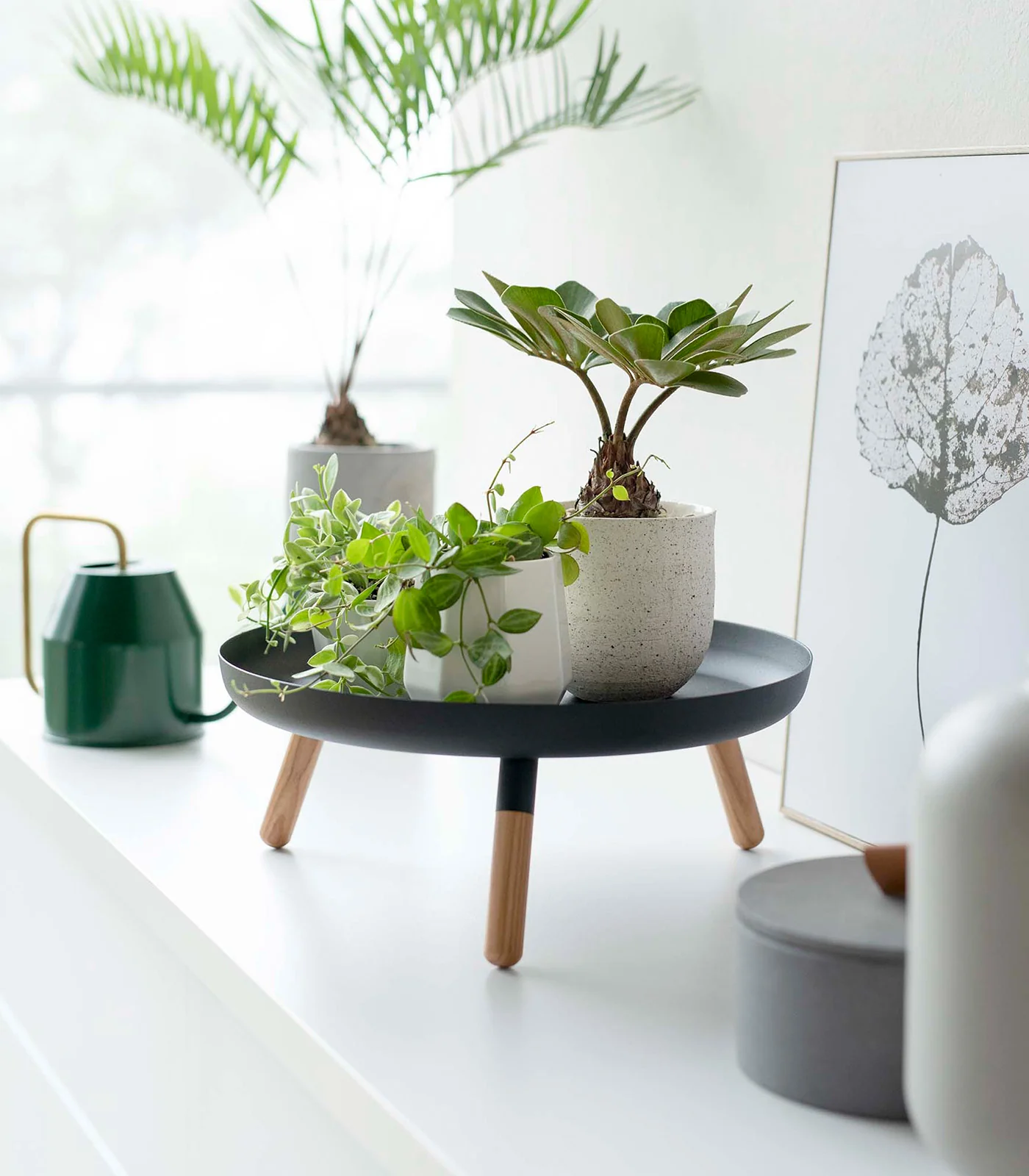 Countertop Pedestal Tray (5" H) - Steel + Wood - Image 10