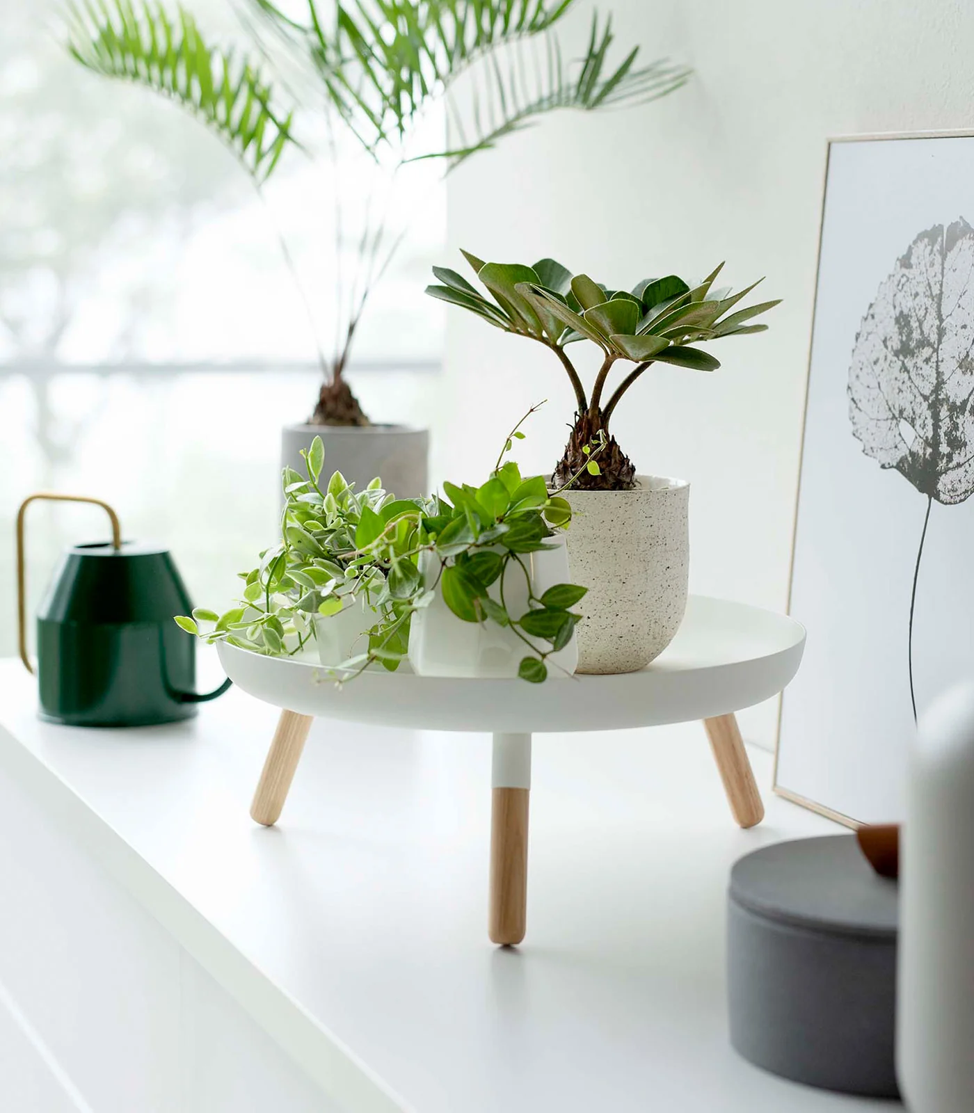 Countertop Pedestal Tray (5" H) - Steel + Wood - Image 2
