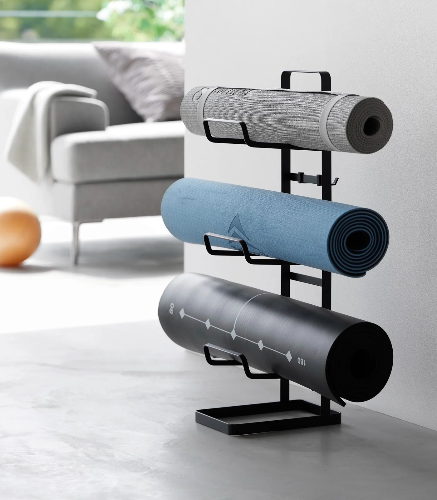 Fitness Equipment Storage Rack - Steel - Image 9