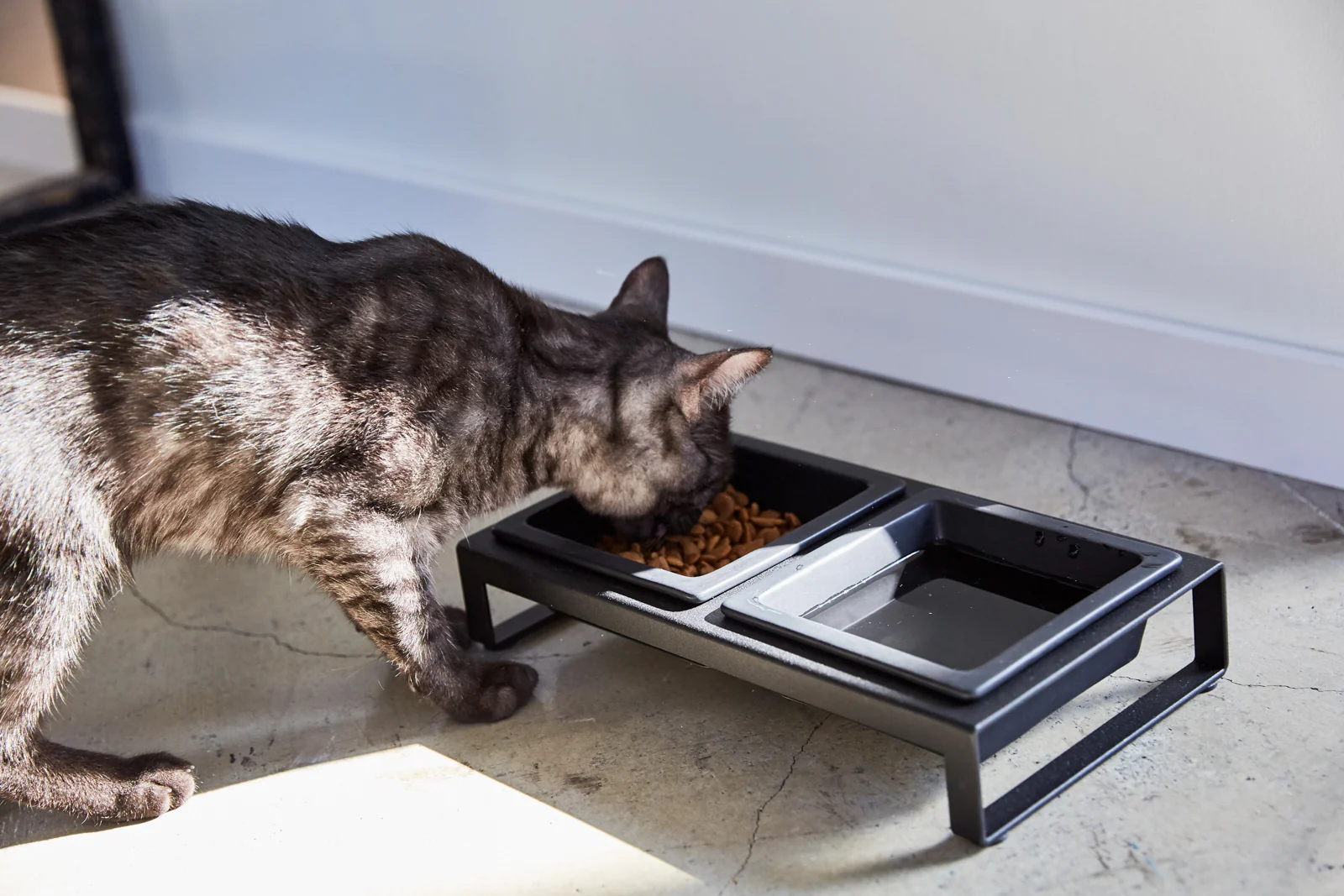 Pet Food Bowl - Steel + Ceramic - Image 10