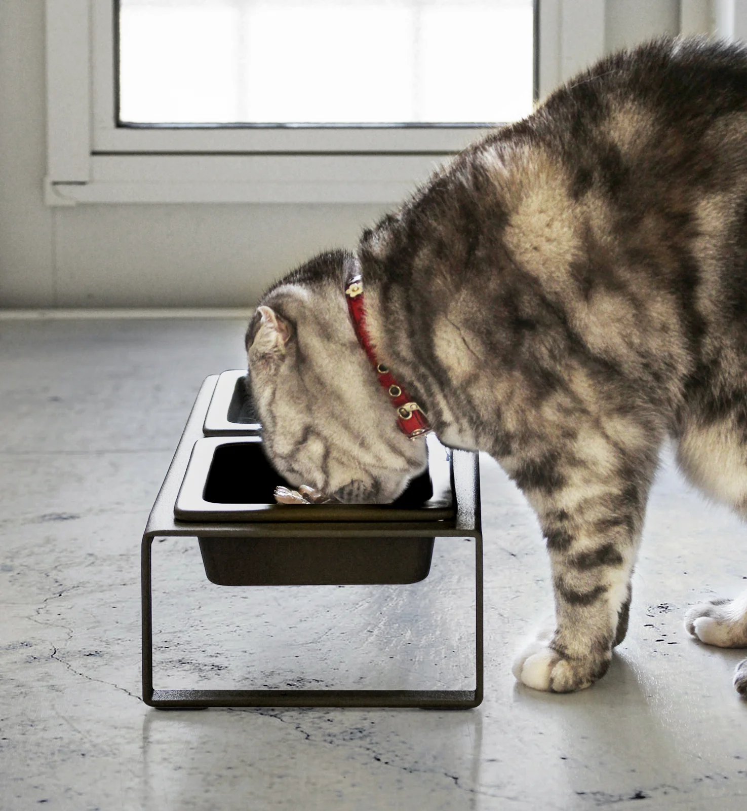 Pet Food Bowl - Tall - Steel + Ceramic - Image 7